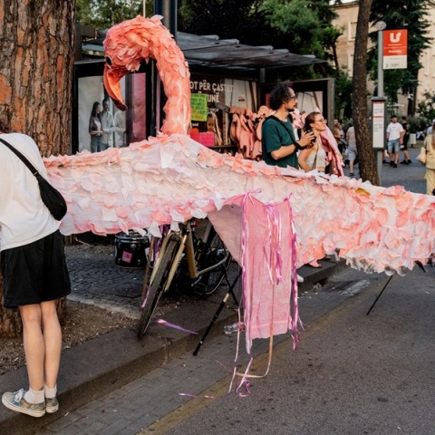 Αλβανία: Η Επανάσταση των Φλαμίνγκο