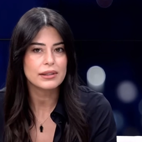 Η Αφροδίτη Λατινοπούλου επιρρίπτει ευθύνες στην κυβέρνηση μετά τις επιθέσεις στη Θεσσαλονίκη - Κάνει λόγο για διαχρονική ανοχή στη βία.