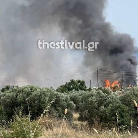 Χαλκιδική: Οριοθετήθηκε η φωτιά στη Νέα Καλλικράτεια - Παραμένουν στο σημείο οι πυροσβέστες