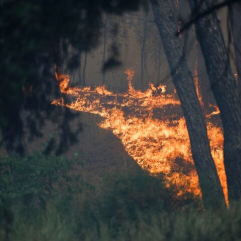 Πυροσβεστική: 60 αγροτοδασικές πυρκαγιές το τελευταίο 24ωρο - Ποιες οι σημαντικότερες