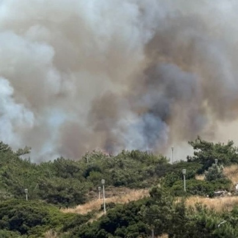 Φωτιά τώρα στις Αμμούδες Ρόδου
