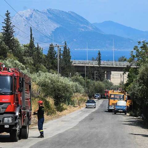 Δυνάμεις της Πυροσβεστικής σε πυρκαγιά στην Αχαΐα