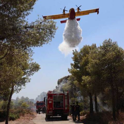 Οχήματα της Πυροσβεστικής και αεροπλάνο σε δασική πυρκαγιά