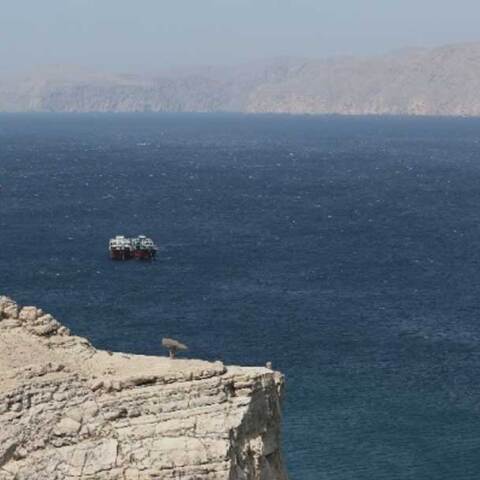 Πλοία στα Στενά του Ορμούζ