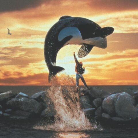 Το Free Willy επιστρέφει - Οι δημιουργοί της Marvel, αδελφοί Ρούσο, αναλαμβάνουν την παραγωγή της νέας ταινίας για τη διάσημη όρκα.