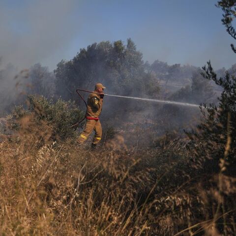 Φωτιά τώρα κοντά στα διόδια Αφιδνών