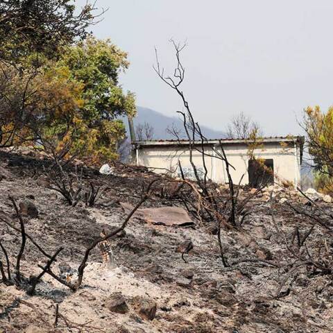 Στάχτη και αποκαΐδια στην Ισπανία μετά τις πυρκαγιές