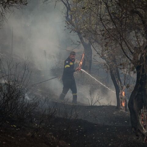 Σε δύο μέτωπα η φωτιά στο Πλωμάρι της Λέσβου - Έχουν εκκενωθεί οικισμοί
