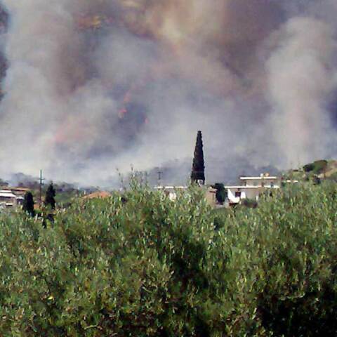 Φωτιά στη Φωκίδα απειλεί σπίτια