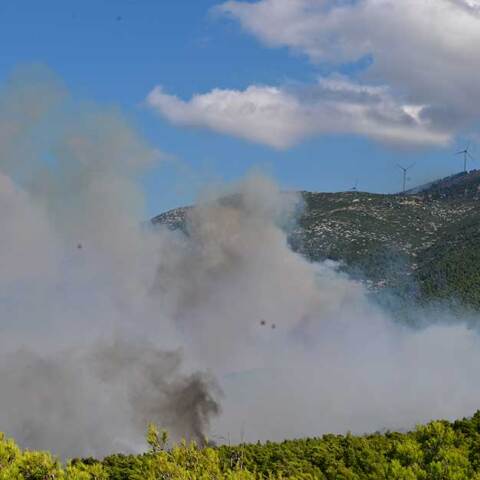 Η φωτιά στη Βοιωτία καίει παρθένο δάσος στην περιοχή που βρίσκεται το Πόρτο Γερμενό