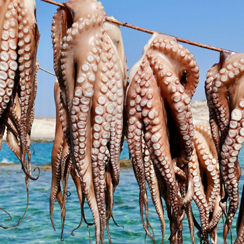Aegean Cuisin - Κυκλάδες πέρα από την καρτ ποστάλ: η αυθεντική γεύση των νησιών