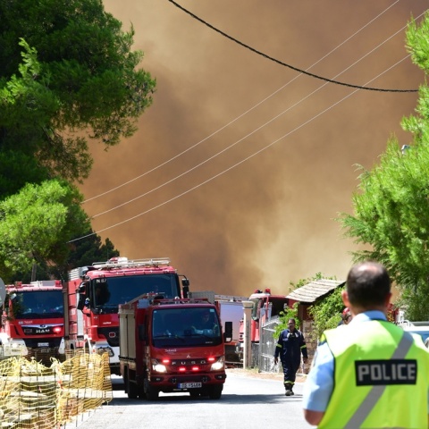 Εικόνα από την επιχείρηση κατάσβεσης της φωτιάς στη Βοιωτία