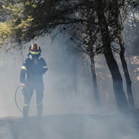 Πυροσβέστης επιχειρεί για την κατάσβεση της φωτιάς
