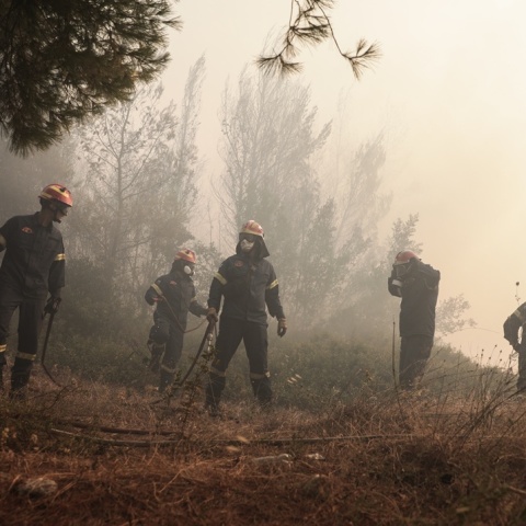 Πυροσβέστες σε σημείο με καπνό