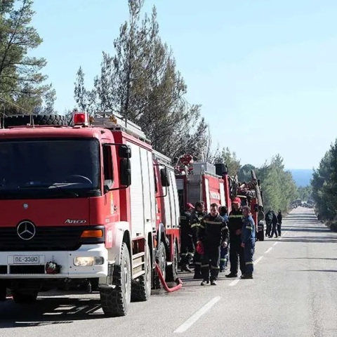 Οριοθετήθηκε μέσα σε μισή ώρα φωτιά στα Πυργαδίκια Χαλκιδικής - Στο σημείο επιχειρούν 30 πυροσβέστες, έρευνα από το Ανακριτικό Κλιμάκιο