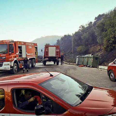 Πυροσβέστες σε δασική πυρκαγιά