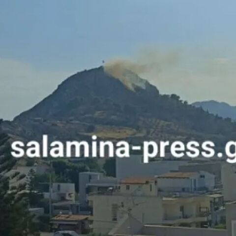 Σαλαμίνα: Οριοθετήθηκε μέσα σε 30 λεπτά η πυρκαγιά στον Προφήτη Ηλία