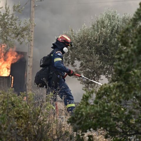 Ισχυρές πυροσβεστικές δυνάμεις επιχειρούν στα Καλάβρυτα για τη φωτιά στην περιοχή Πετσάκοι, με τη συνδρομή εναέριων μέσων.