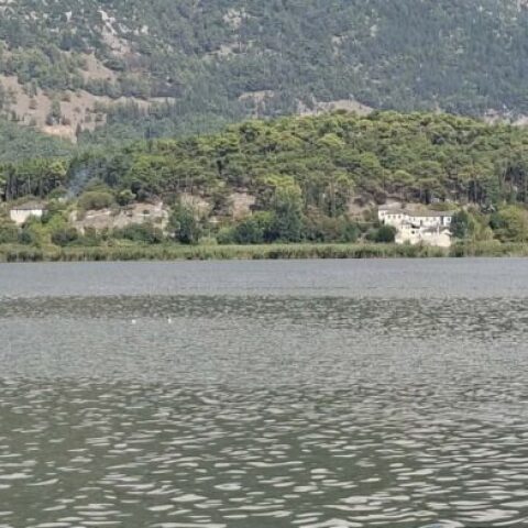 Ιωάννινα: Φωτιά τώρα στο νησάκι της λίμνης