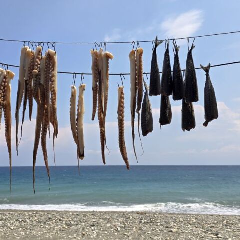 Πήλιο, οι κρυφοί του παράδεισοι ταιριάζουν σε σένα που προτιμάς τις διακοπές σου τον Σεπτέμβρη
