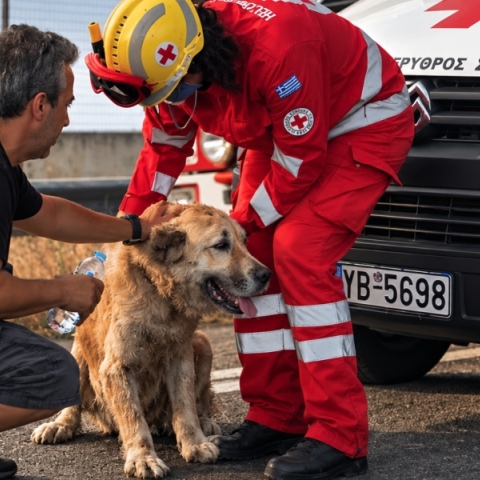 Ελληνικός Ερυθρός Σταυρός: Όταν  το κατοικίδιό σου κινδυνεύει, ξέρεις τι να κάνεις;  