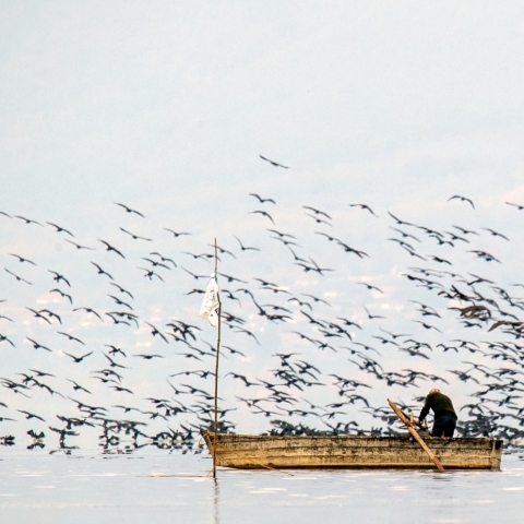 Kerkini Wetlands Photo Awards