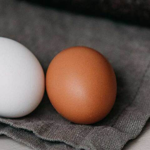 Λευκό και καφέ αυγό στο τραπέζι