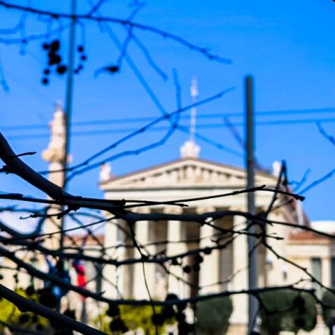 Ηλιοφάνεια με μικρή πτώση της θερμοκρασίας αναμένεται το Σάββατο 24 Οκτωβρίου - Τοπικές βροχές στα ανατολικά και ομίχλες τις πρωινές ώρες.