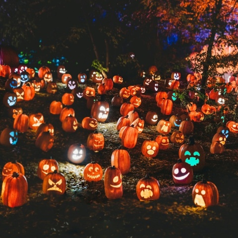 Halloween - Κολοκύθες