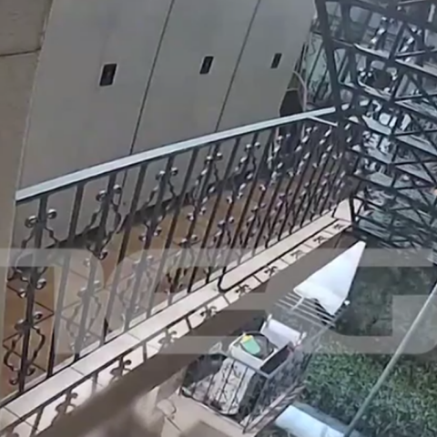 Δασκάλα γιόγκα ανατίναζε αυτοκίνητα συγγενών της γιατί δεν της δάνειζαν χρήματα