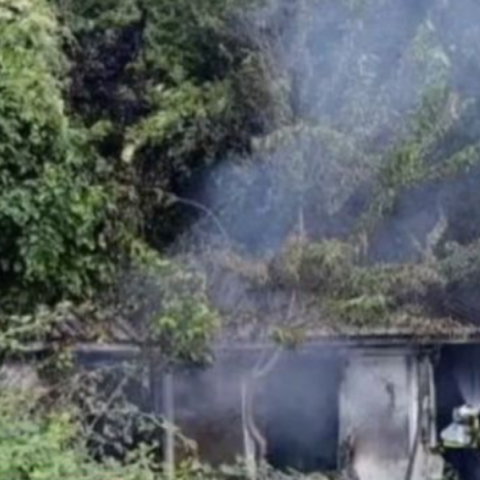 Κόνιτσα: Χωρίς ηλεκτρικό ζούσαν στο κοντέινερ τα 4 αδέρφια - Αρνούνται να φύγουν από εκεί