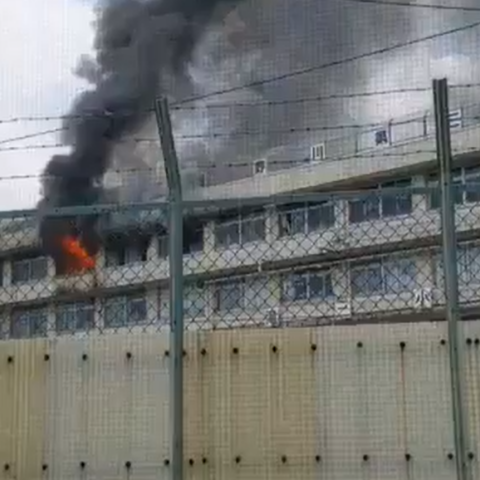 fotia-tokio