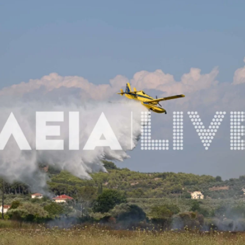 Φωτιά στον Πύργο: Χωρίς ενεργό μέτωπο η πυρκαγιά - Παραμένει στο σημείο η πυροσβεστική