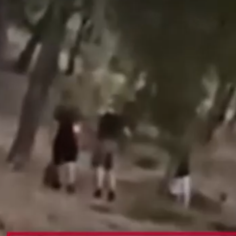 Άνω Βριλήσσια: 13χρονοι έβαζαν φωτιά στο δάσος για «challenge»