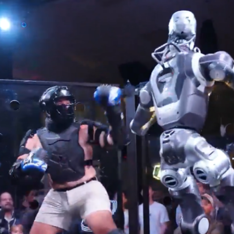 robot