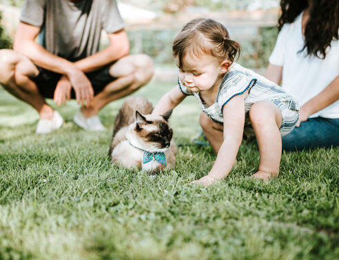 Παιδί χαϊδεύει γάτα, στο βάθος ένα ζευγάρι κάθεται