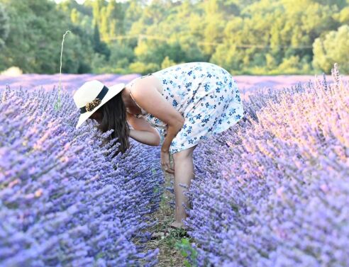 GardenGirl aesthetic