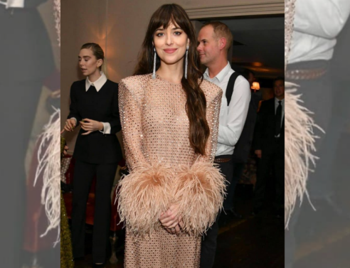 3 party inspo outifits από την Ντακότα Τζόνσον