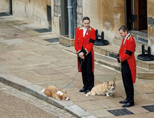 Βασίλισσας Ελισάβετ με τα κόργκι της