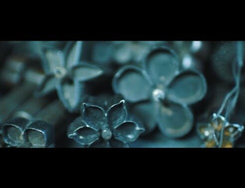 Visionaire, ONE LOOK: THE FLOWER, CELIA KRITHARIOTI