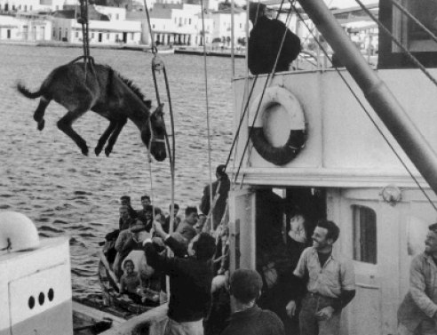 Φωτό: Ανδρέας Εμπειρίκος