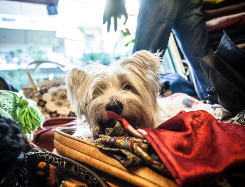 5 μαγαζιά στην Αθήνα για να ψωνίσεις vintage 