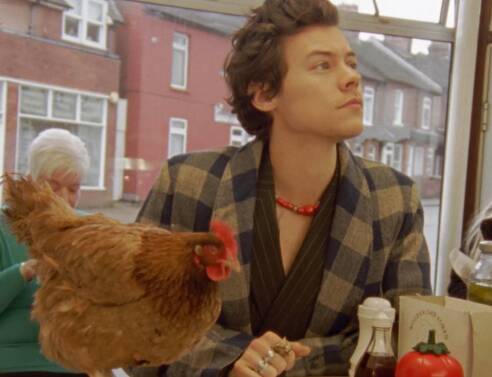 H καινούρια καμπάνια του Gucci είναι κότα