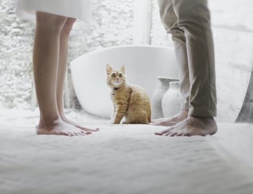 ©Unsplash/ Hutomo Abrianto