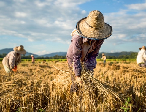 H L’Oréal αποκαλύπτει την επόμενη γενιά των φιλόδοξων στόχων της για τη βιωσιμότητα προς το 2030
