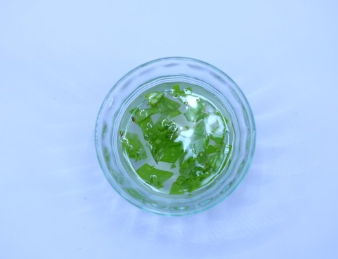 Οι χρήσεις της αλόης είναι άπειρες - Ορίστε 5 από τις καλύτερες