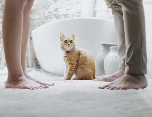 Γυναίκα και άντρας στέκονται όρθιοι με μια γάτα ανάμεσα στα πόδια τους