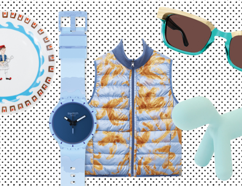 Πιάτο, ρολόι, αμάνικο μπουφάν, γυαλιά ηλίου, διακοσμητικός σκύλος σε γαλάζια χρώματα