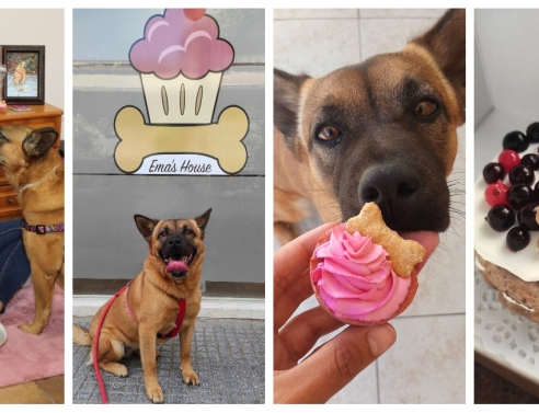 Η Ειρήνη, η Ema και οι σκυλολιχουδιές