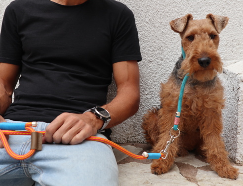 Χειροποίητο λουράκι για σκύλους hold dog